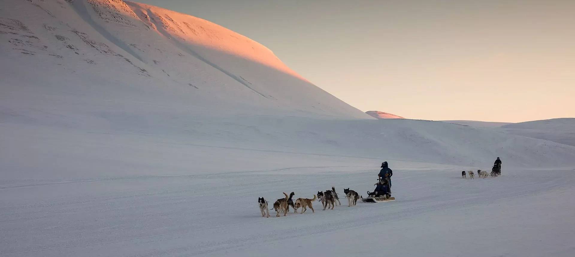 dogsledding trip by Greendog Svalbard